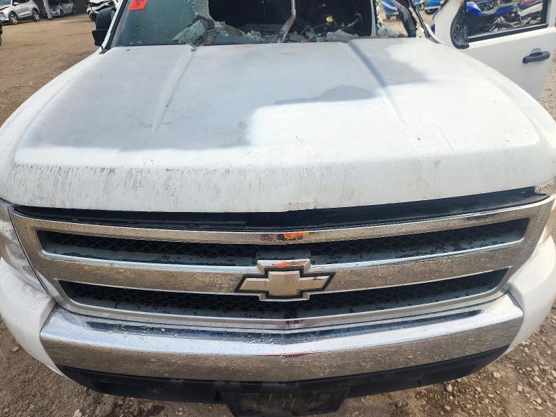 72179546 :رقم المزاد ، 2GCEK13MX71614542 vin ، 2007 Chevrolet Silverado مزاد بيع