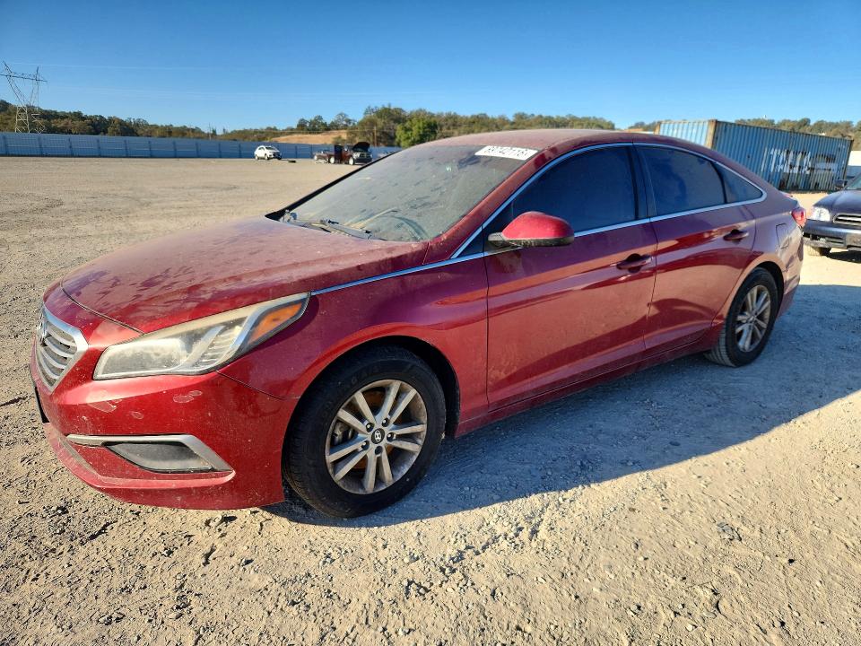 Продаж на аукціоні авто 2016 Hyundai Sonata, vin: 5NPE24AF4GH266788, номер лоту: 69742116