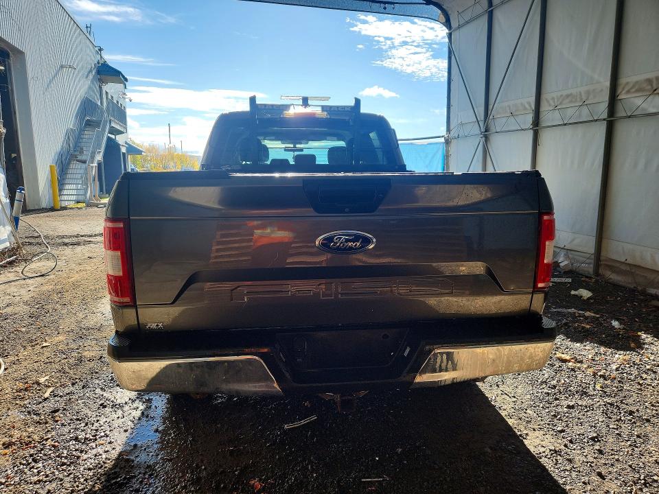 Продаж на аукціоні авто 2019 Ford F150, vin: 1FTFW1E17KFD15815, номер лоту: 69967226
