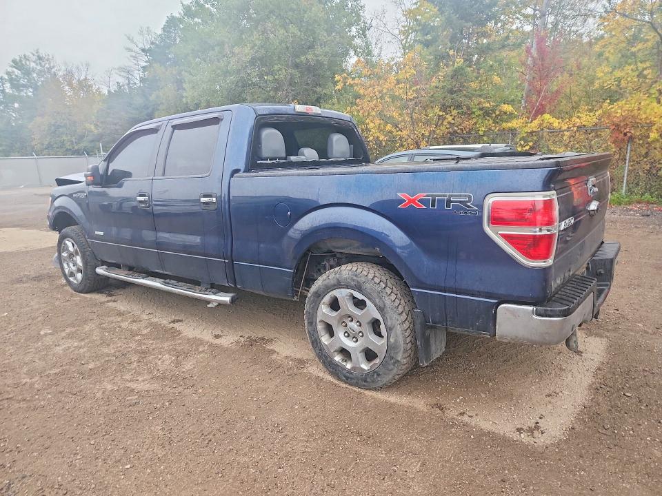 70999416 :رقم المزاد ، 1FTFW1ET0EFB51703 vin ، 2014 Ford F150 مزاد بيع
