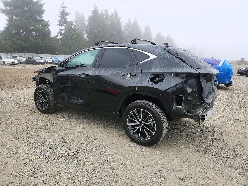 2025 Lexus Nx350 მანქანა იყიდება აუქციონზე, vin: JTJGKCEZ1S5026594, აუქციონის ნომერი: 71797646