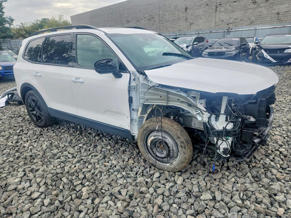 Aukcja sprzedaży 2025 Kia Telluride, vin: 5XYP5DGC9SG624321, numer aukcji: 70890006
