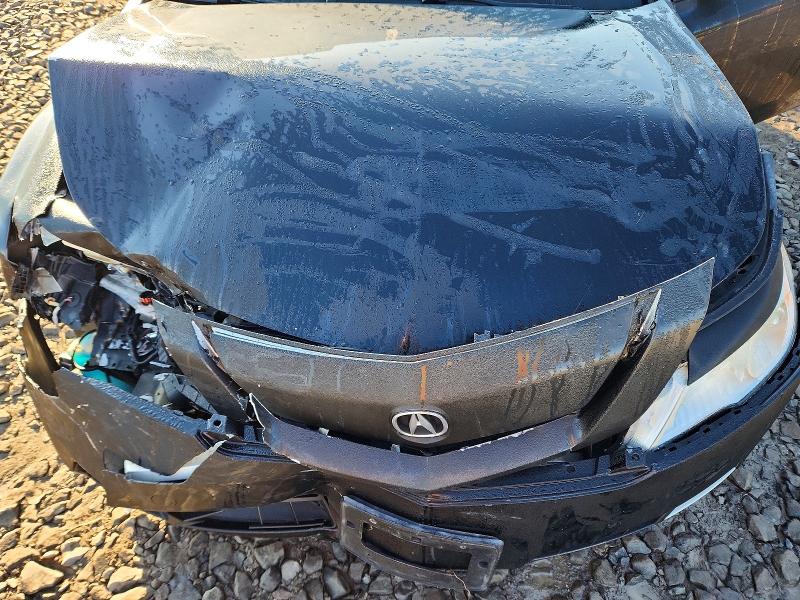 72669256 :رقم المزاد ، 19UUA9F25AA008913 vin ، 2010 Acura Tl مزاد بيع