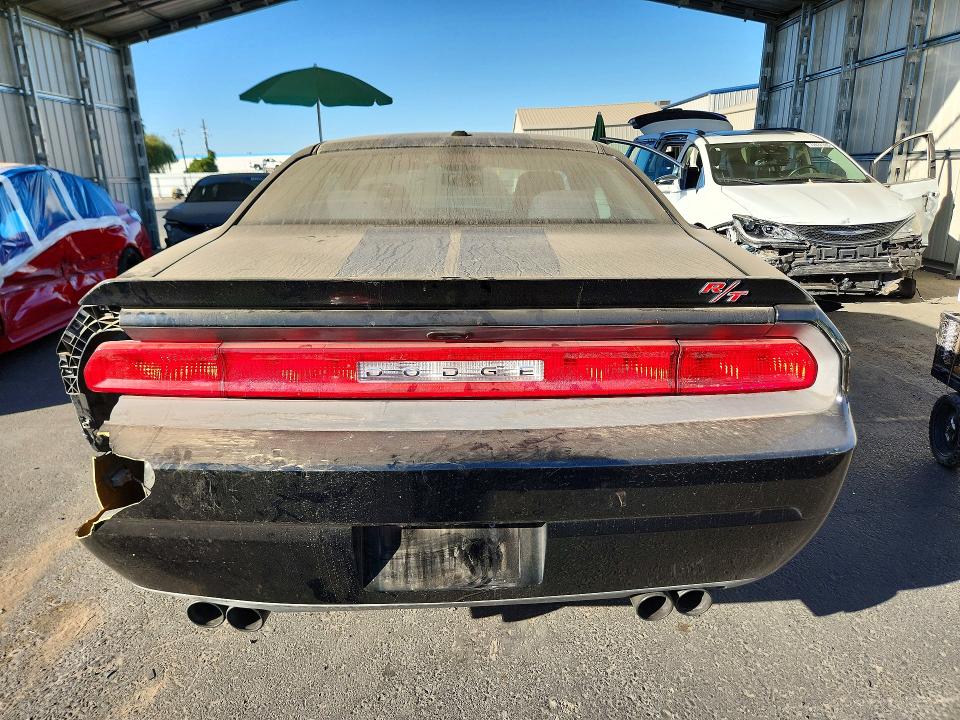Продаж на аукціоні авто 2013 Dodge Challenger, vin: 2C3CDYBT0DH518879, номер лоту: 73136516