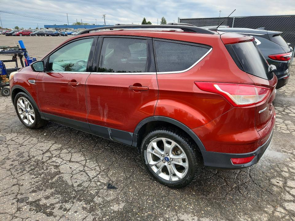 Продаж на аукціоні авто 2014 Ford Escape, vin: 1FMCU9GX4EUB37365, номер лоту: 71448696