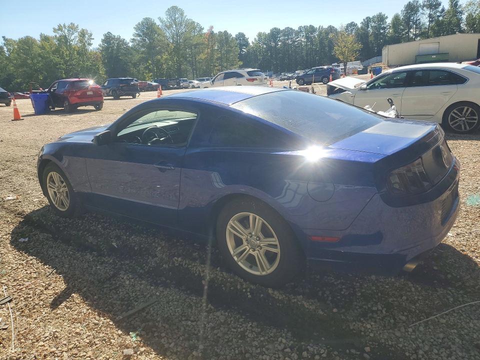 Продажа на аукционе авто 2014 Ford Mustang, vin: 1ZVBP8AM7E5273920, номер лота: 71254096