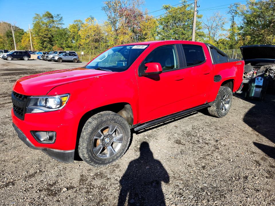 72899766 :رقم المزاد ، 1GCGTDEN8K1301386 vin ، 2019 Chevrolet Colorado مزاد بيع