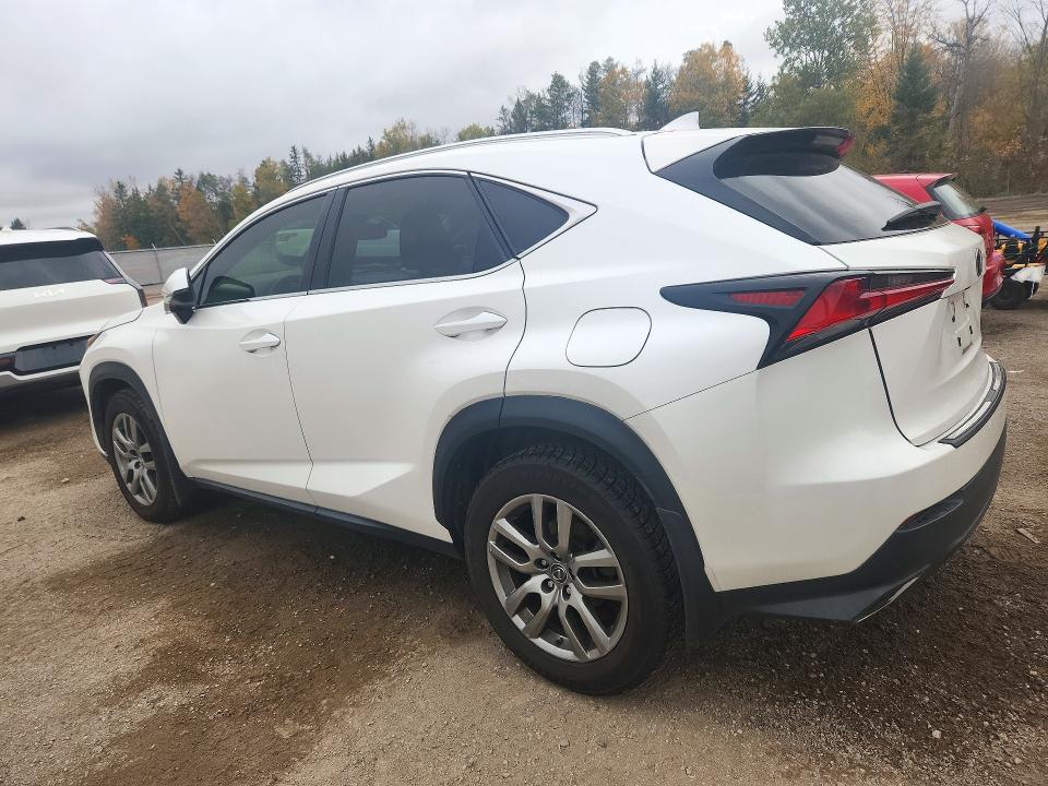 Продажа на аукционе авто 2020 Lexus Nx, vin: JTJGARDZ4L2217954, номер лота: 72554536