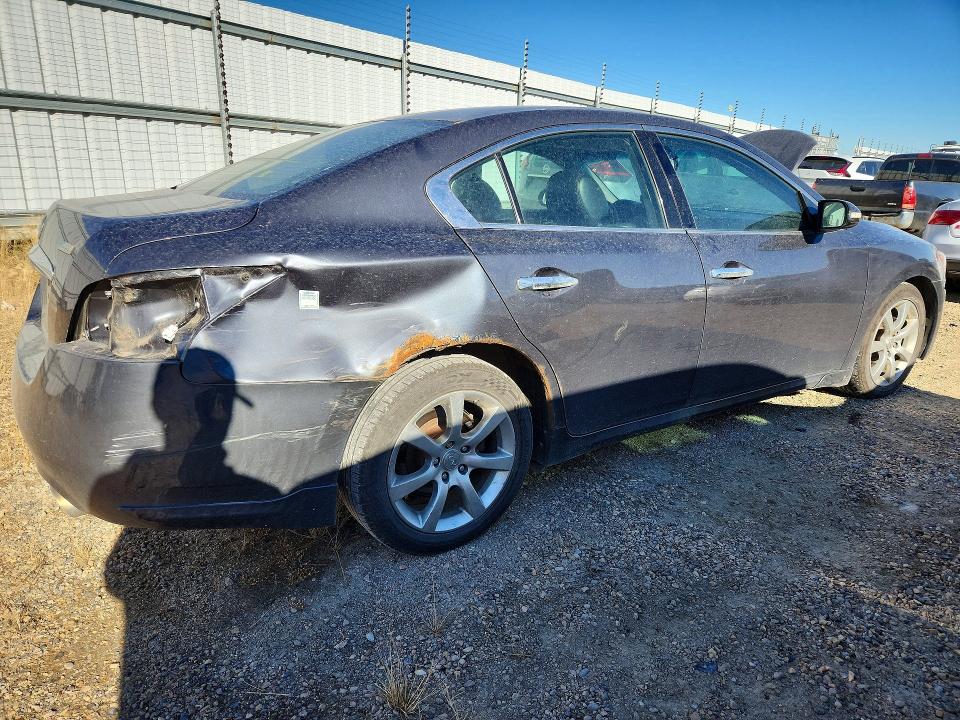 Продажа на аукционе авто 2010 Nissan Maxima, vin: 1N4AA5AP3AC830567, номер лота: 71060576