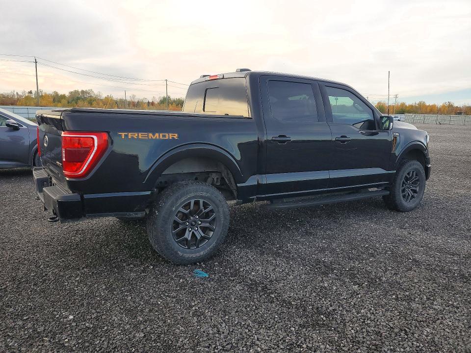 Продаж на аукціоні авто 2022 Ford F150, vin: 1FTEW1E8XNFA32368, номер лоту: 68647906