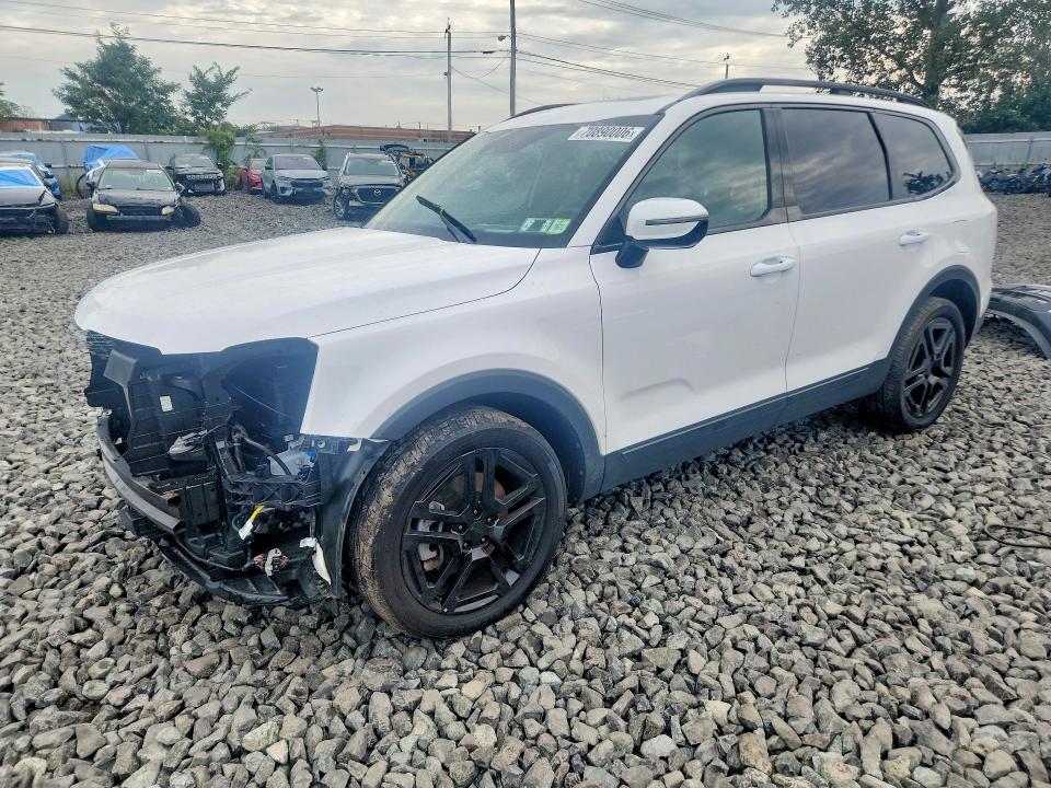 Auction sale of the 2025 Kia Telluride, vin: 5XYP5DGC9SG624321, lot number: 70890006