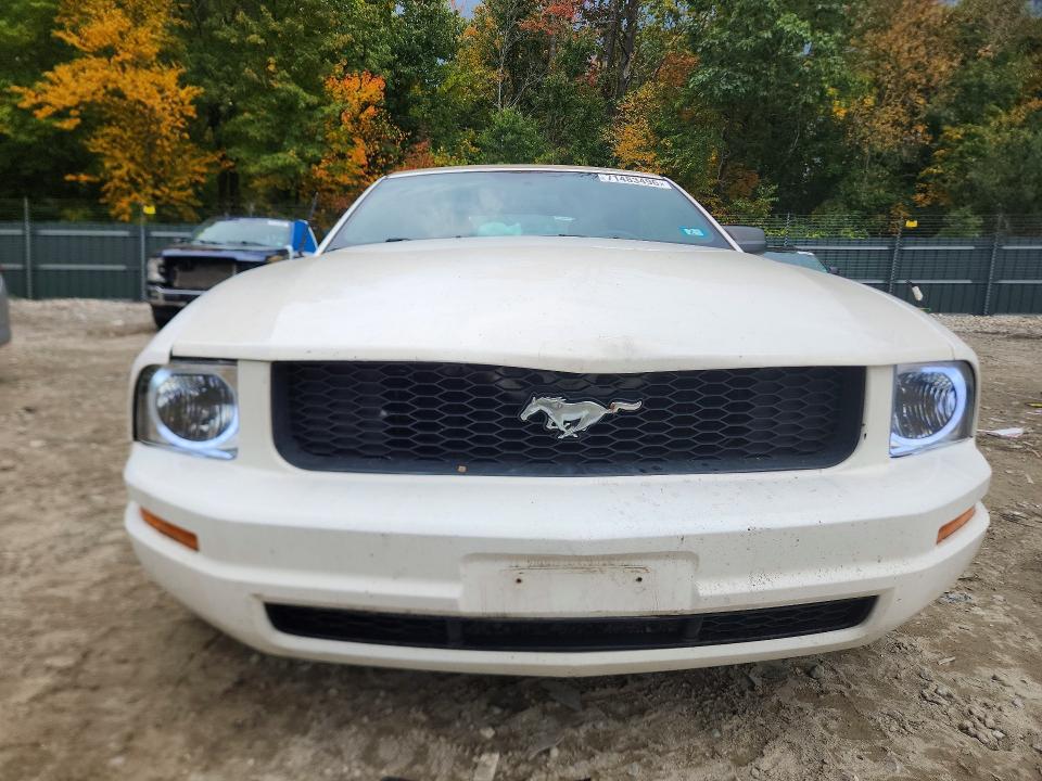 71483496 :رقم المزاد ، 1ZVFT84NX65234807 vin ، 2006 Ford Mustang مزاد بيع