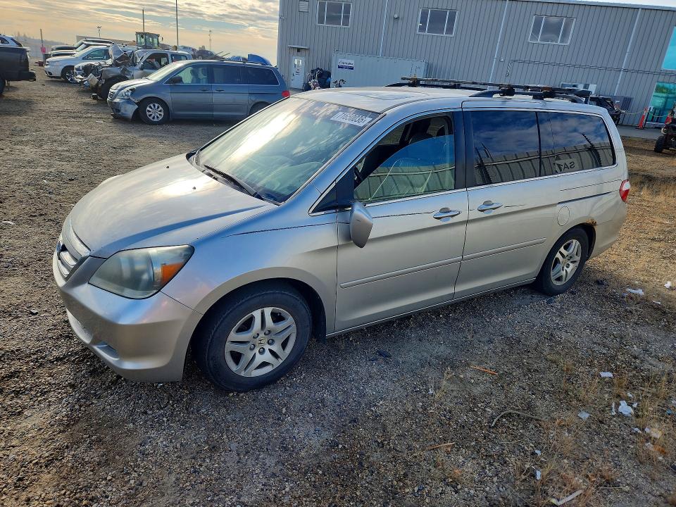 71650036 :رقم المزاد ، 5FNRL38727B453565 vin ، 2007 Honda Odyssey مزاد بيع