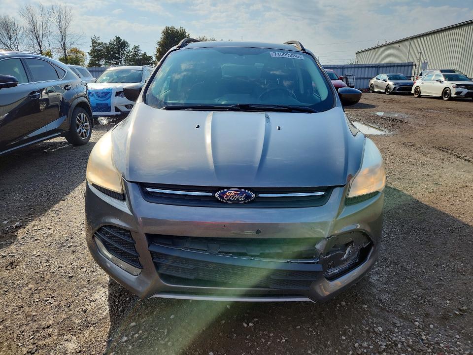 2014 Ford Escape მანქანა იყიდება აუქციონზე, vin: 1FMCU0G95EUD34767, აუქციონის ნომერი: 71599236