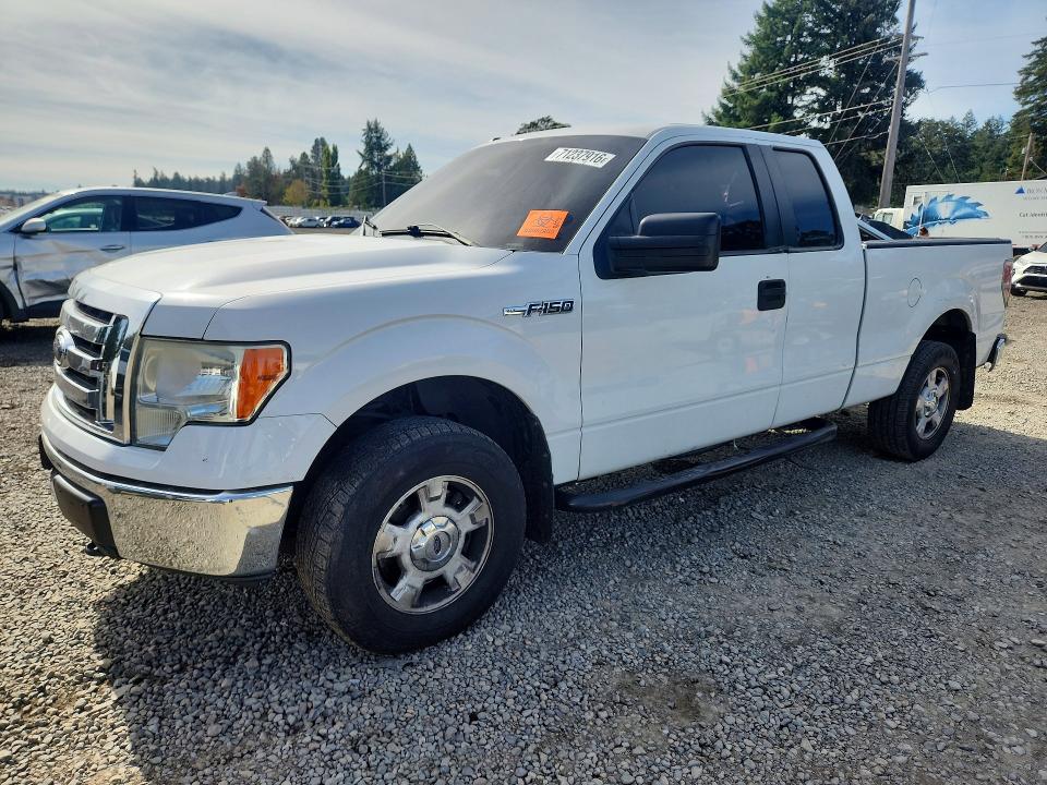 Auction sale of the 2010 Ford F150, vin: 1FTEX1E89AFC38191, lot number: 71237916