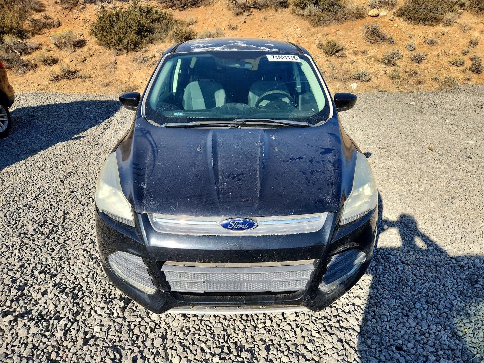 71801176 :رقم المزاد ، 1FMCU9GX7DUD78660 vin ، 2013 Ford Escape مزاد بيع
