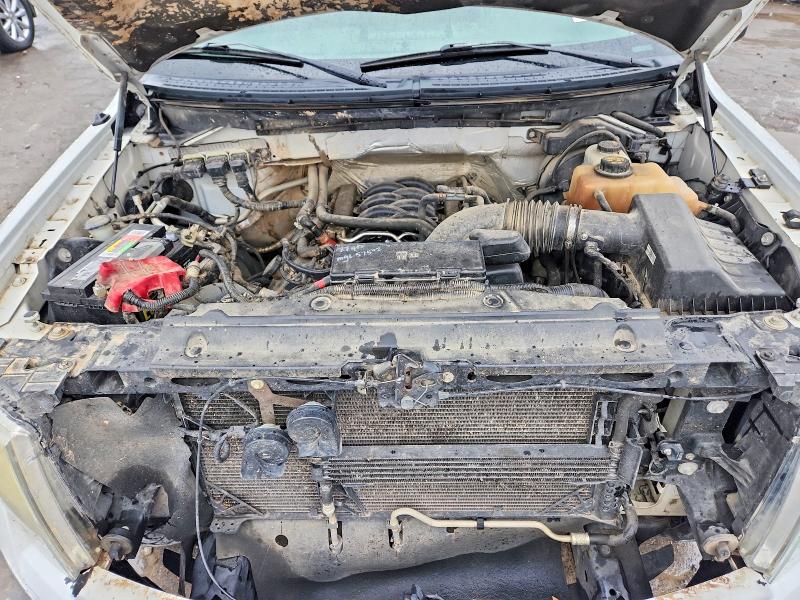 2013 Ford F150 მანქანა იყიდება აუქციონზე, vin: 1FTFW1EF3DKE61151, აუქციონის ნომერი: 70746846