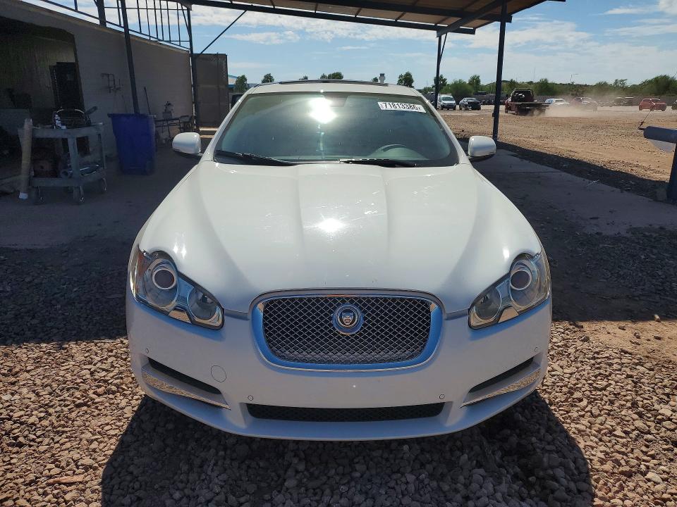 71813386 :رقم المزاد ، SAJWA0FB9BLR81965 vin ، 2011 Jaguar Xf مزاد بيع