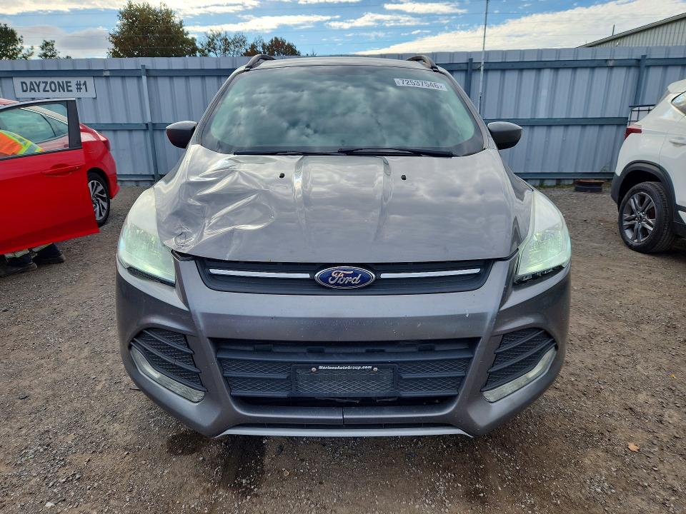 Продажа на аукционе авто 2014 Ford Escape, vin: 1FMCU0GX4EUD83179, номер лота: 72537546