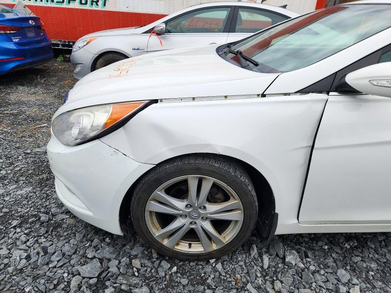 Продаж на аукціоні авто 2011 Hyundai Sonata, vin: 5NPEC4AC7BH176398, номер лоту: 70312256