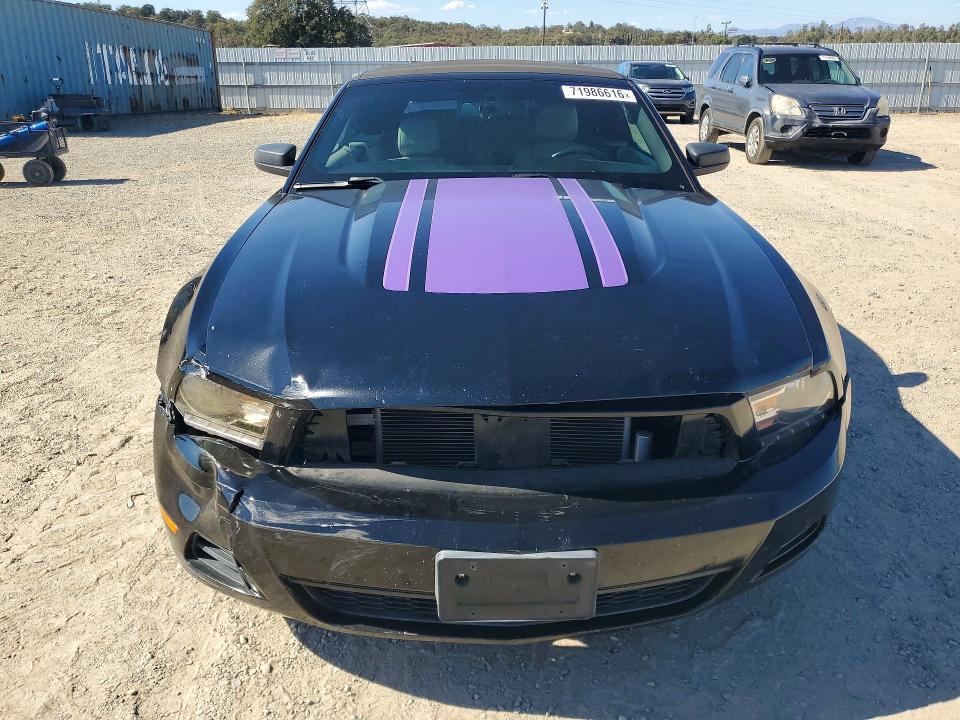 71986616 :رقم المزاد ، 1ZVBP8ENXA5167507 vin ، 2010 Ford Mustang مزاد بيع