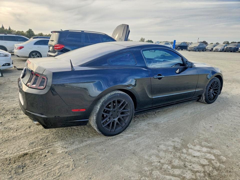 Продаж на аукціоні авто 2013 Ford Mustang, vin: 1ZVBP8AM7D5209519, номер лоту: 70909976
