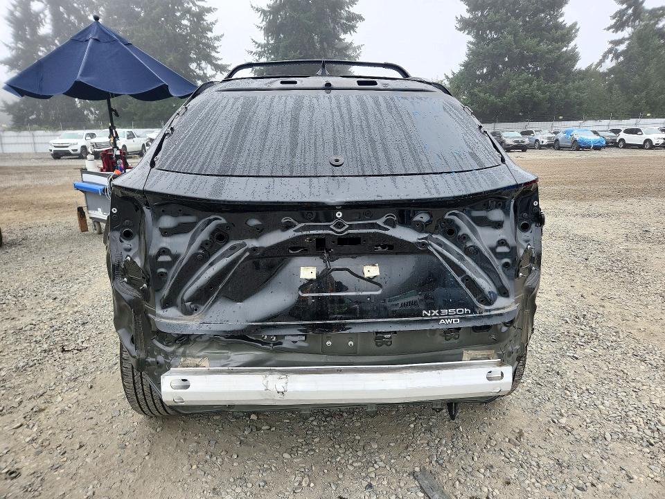 2025 Lexus Nx350 მანქანა იყიდება აუქციონზე, vin: JTJGKCEZ1S5026594, აუქციონის ნომერი: 71797646