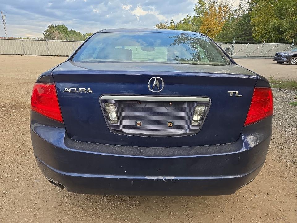 71954266 :رقم المزاد ، 19UUA662X6A800710 vin ، 2006 Acura 3.2tl مزاد بيع