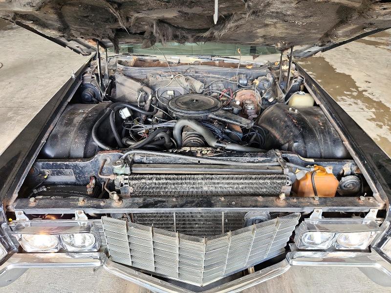 1981 Cadillac Deville მანქანა იყიდება აუქციონზე, vin: F9258206, აუქციონის ნომერი: 72388966