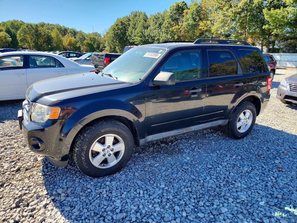 Auction sale of the 2010 Ford Escape, vin: 1FMCU9DG7AKC65674, lot number: 71732596