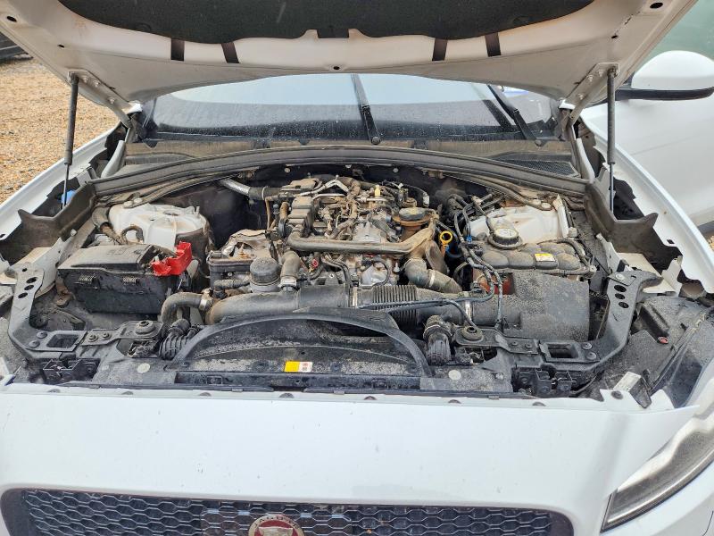 Продаж на аукціоні авто 2019 Jaguar F-pace, vin: SADCK2FX3KA601640, номер лоту: 71503466