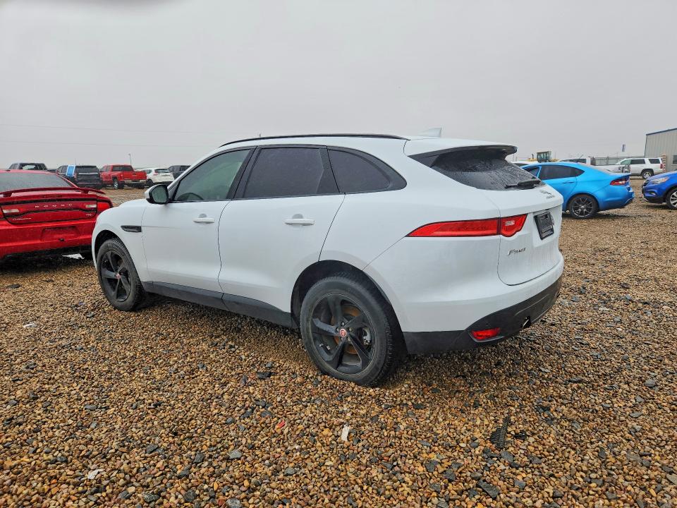 Продаж на аукціоні авто 2019 Jaguar F-pace, vin: SADCK2FX3KA601640, номер лоту: 71503466