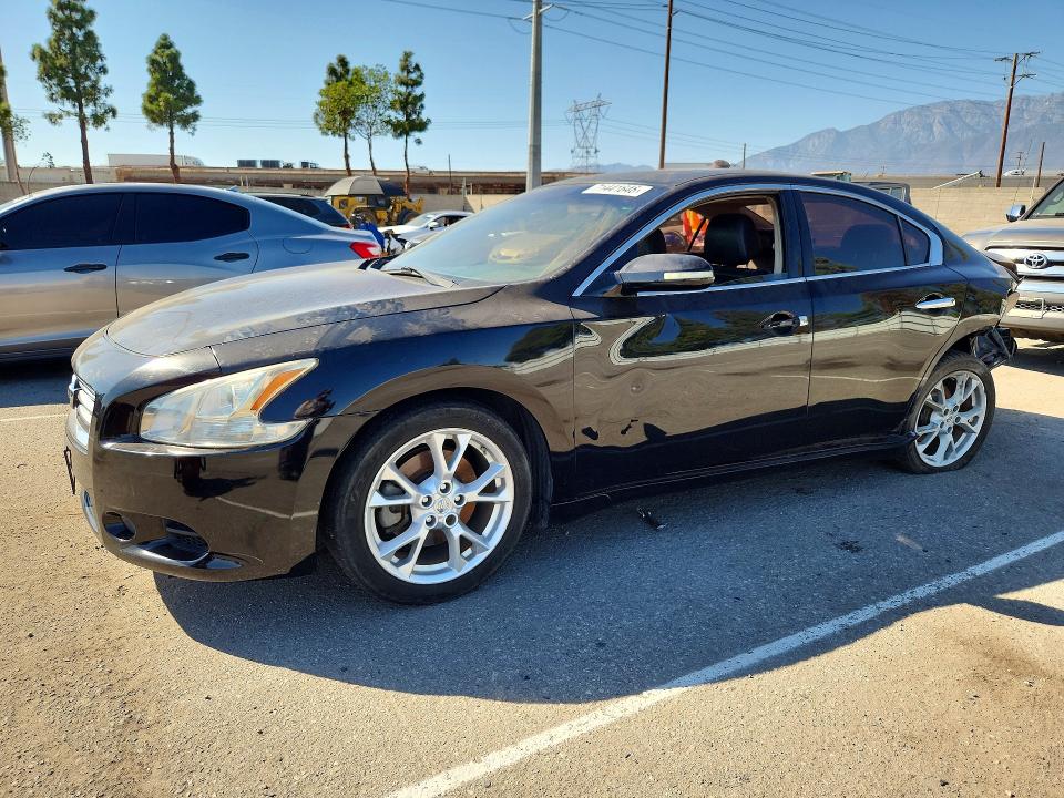 Продаж на аукціоні авто 2013 Nissan Maxima, vin: 1N4AA5AP6DC829725, номер лоту: 71441646