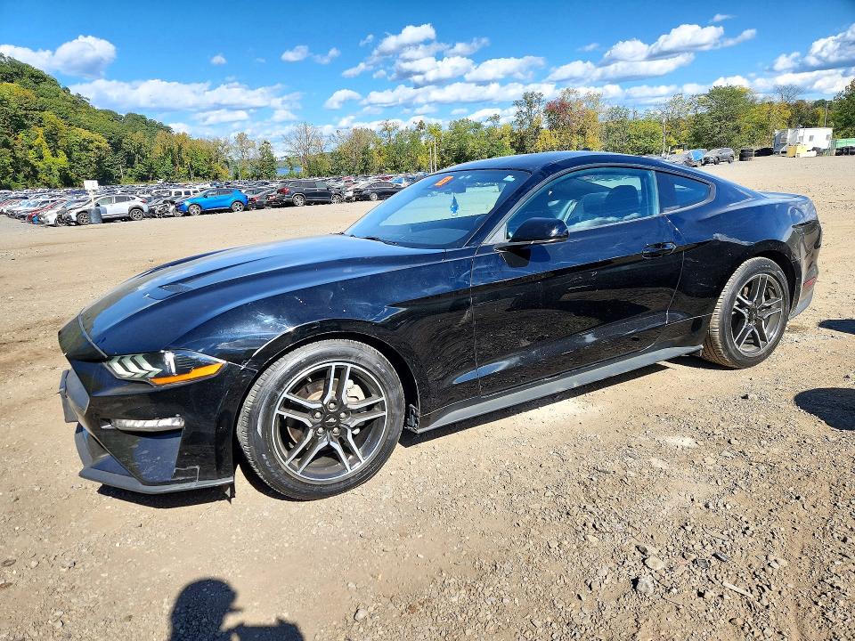 Продажа на аукционе авто 2021 Ford Mustang, vin: 1FA6P8TH3M5157672, номер лота: 71961946