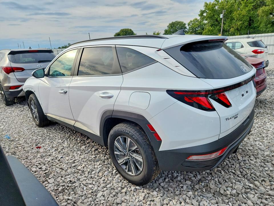 2024 Hyundai Tucson Hybrid მანქანა იყიდება აუქციონზე, vin: KM8JBCD16RU175647, აუქციონის ნომერი: 67107716