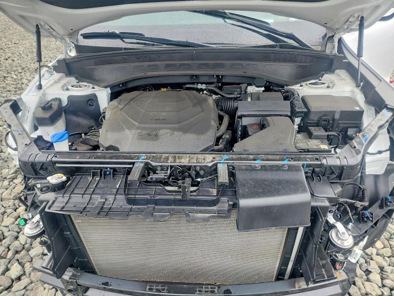 Aukcja sprzedaży 2025 Kia Telluride, vin: 5XYP5DGC9SG624321, numer aukcji: 70890006