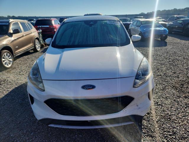 Продаж на аукціоні авто 2020 Ford Escape, vin: 1FMCU0G63LUC09429, номер лоту: 72946346