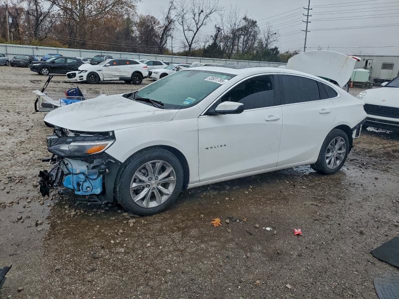 Продажа на аукционе авто 2024 Chevrolet Malibu, vin: 1G1ZD5ST7RF198983, номер лота: 93601785