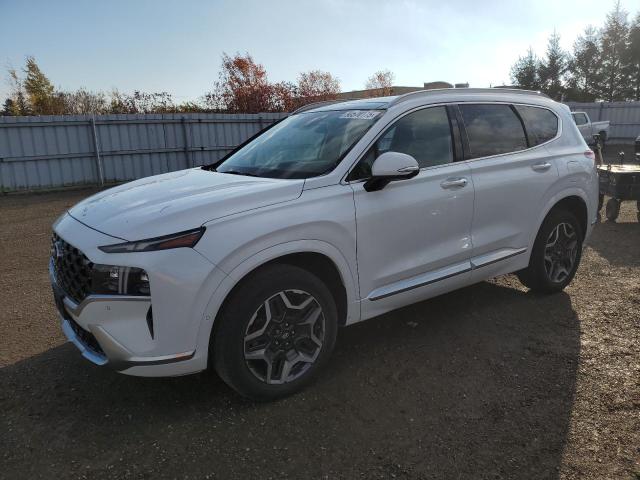 Aukcja sprzedaży 2021 Hyundai Santa Fe, vin: 5NMS5DAL0MH334433, numer aukcji: 90570175