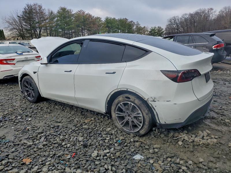 Aukcja sprzedaży 2025 Tesla Model Y, vin: 7SAYGDEE4SA355042, numer aukcji: 92800945
