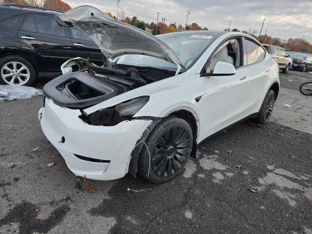 Продаж на аукціоні авто 2023 Tesla Model Y, vin: 7SAYGDEE6PF825436, номер лоту: 91898225