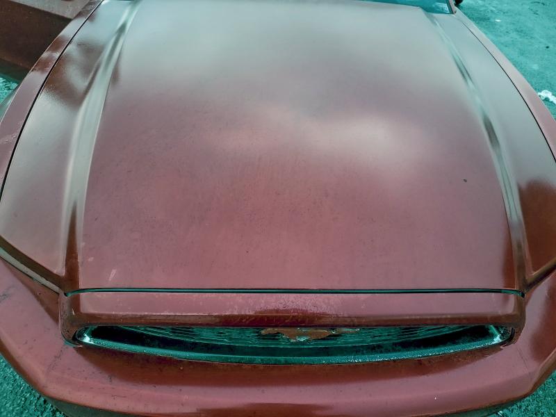 52772145 :رقم المزاد ، 1ZVBP8EM8D5204050 vin ، 2013 Ford Mustang مزاد بيع