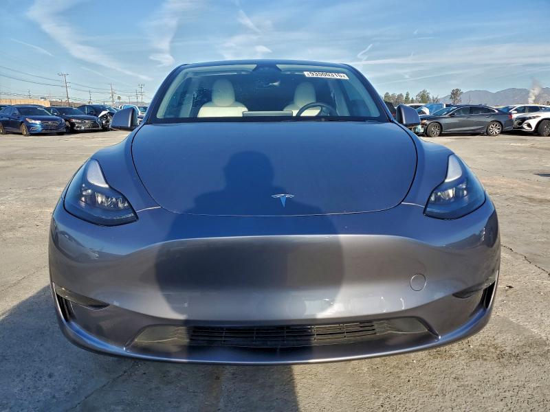 Aukcja sprzedaży 2025 Tesla Model Y, vin: 7SAYGDEE2SF279176, numer aukcji: 93500315
