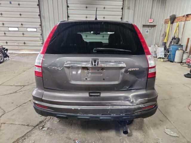 93904195 :رقم المزاد ، 3CZRE4H53AG707696 vin ، 2010 Honda Cr-v مزاد بيع