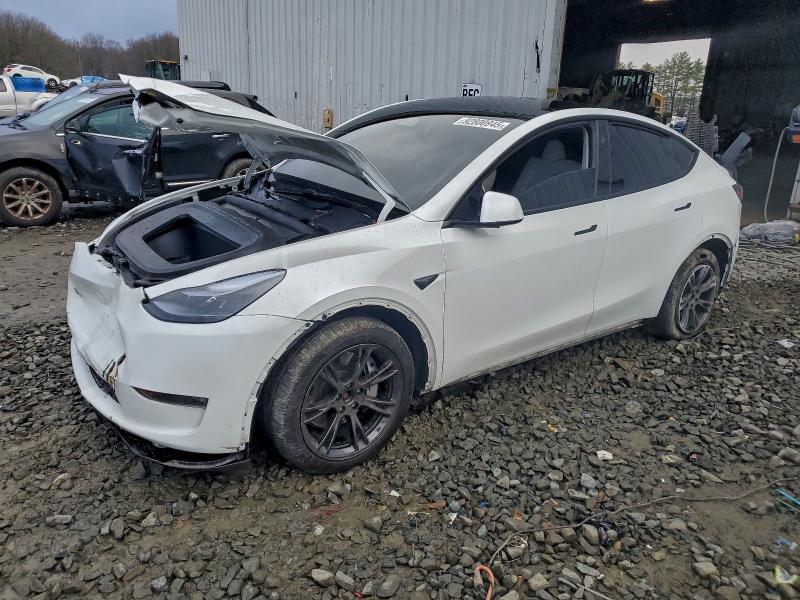 Aukcja sprzedaży 2025 Tesla Model Y, vin: 7SAYGDEE4SA355042, numer aukcji: 92800945