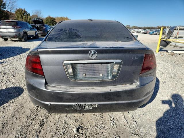 Продажа на аукционе авто 2004 Acura Tl, vin: 19UUA66244A055451, номер лота: 92574505