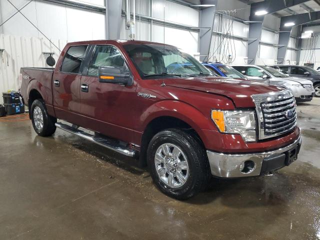 78301143 :رقم المزاد ، 1FTFW1EV8AKA76459 vin ، 2010 Ford F150 Supercrew مزاد بيع
