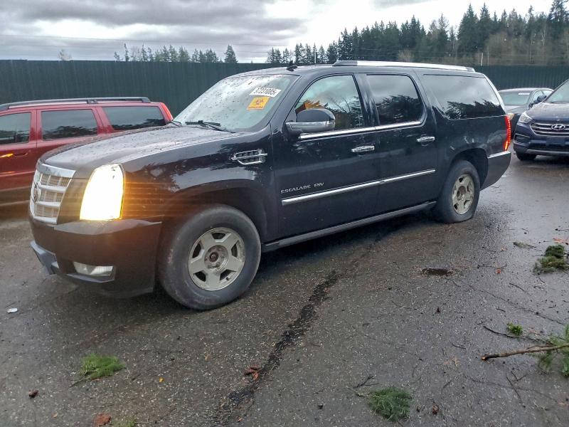 97231085 :رقم المزاد ، 1GYS4KEF4DR225359 vin ، 2013 Cadillac Escalade E مزاد بيع