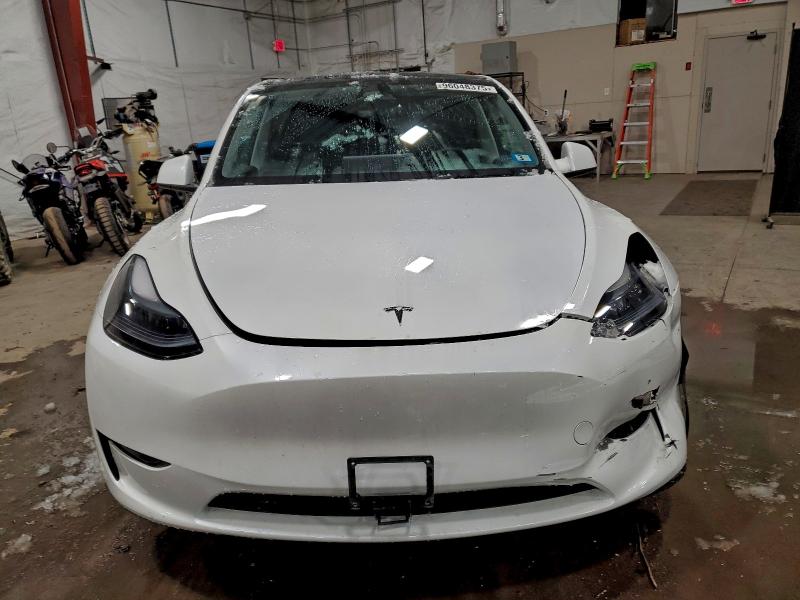 Продажа на аукционе авто 2024 Tesla Model Y, vin: 7SAYGDEF6RA316620, номер лота: 96048375