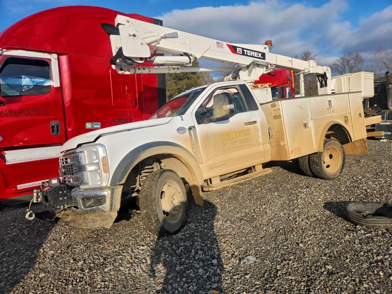 Продажа на аукционе авто 2024 Ford F550 Super, vin: 1FDUF5HT9RDA06733, номер лота: 72755315